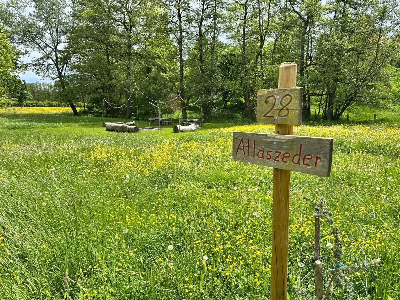 Naturgelände mit Wegweiser am Baierbacher Hof